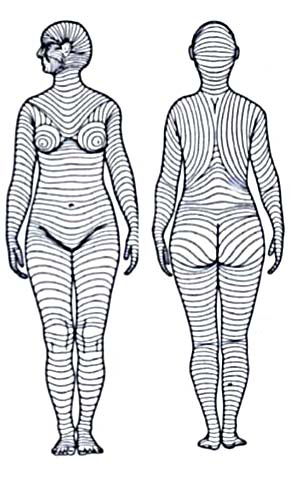 Langer lines illustration